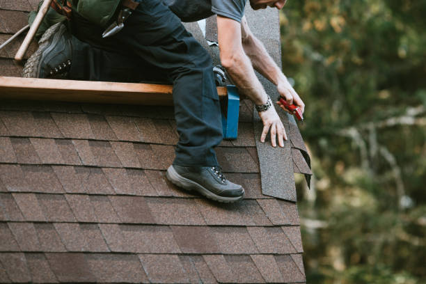 Gutter Installation and Roofing in Cold Springs, NV